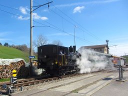 IMG_1857